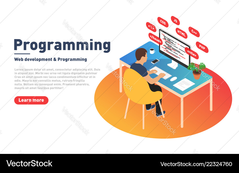 Programming and web development concept Programming and web development concept vector image