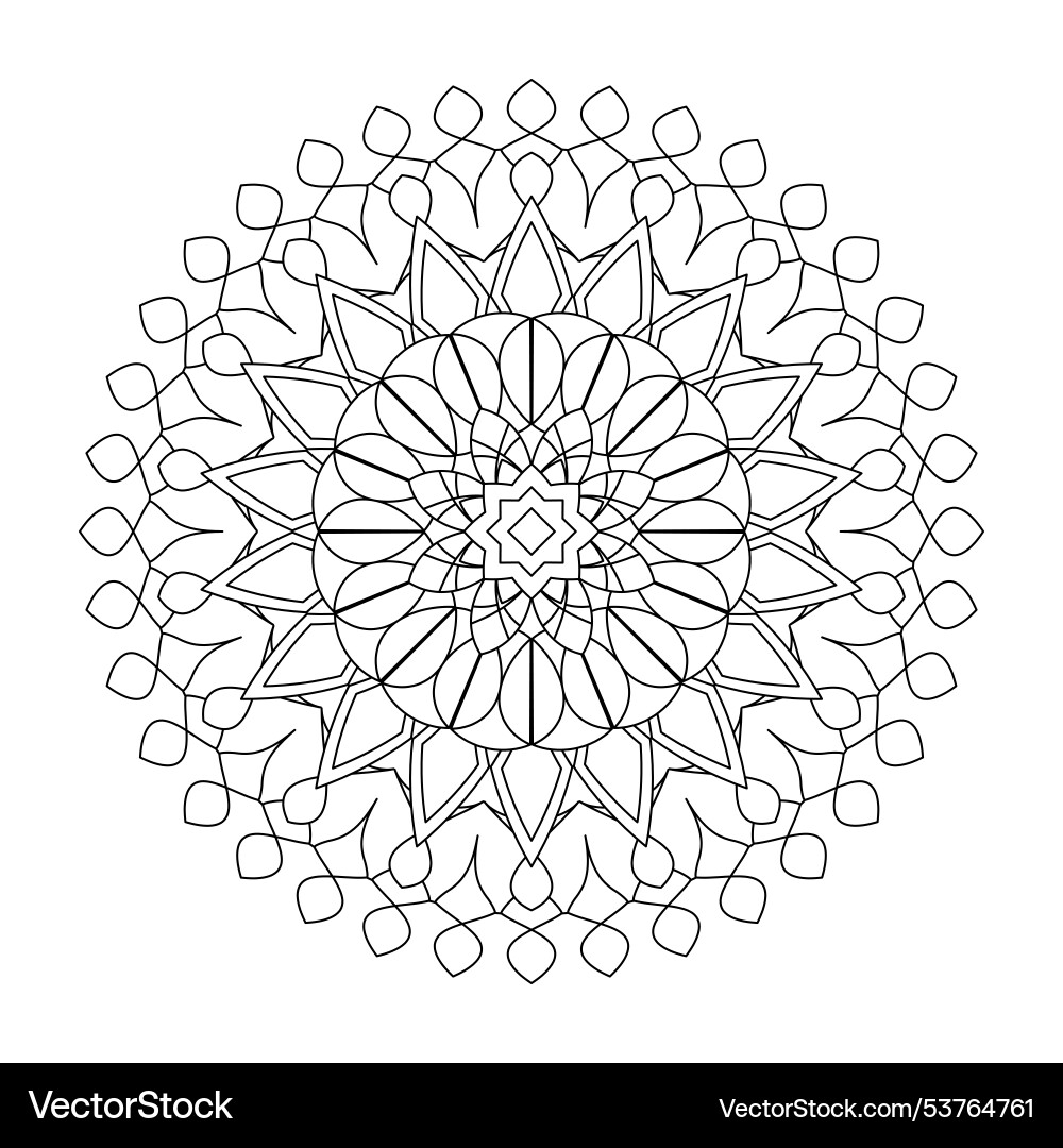 Circular mandala for adults coloring book Circular mandala for adults coloring book vector image