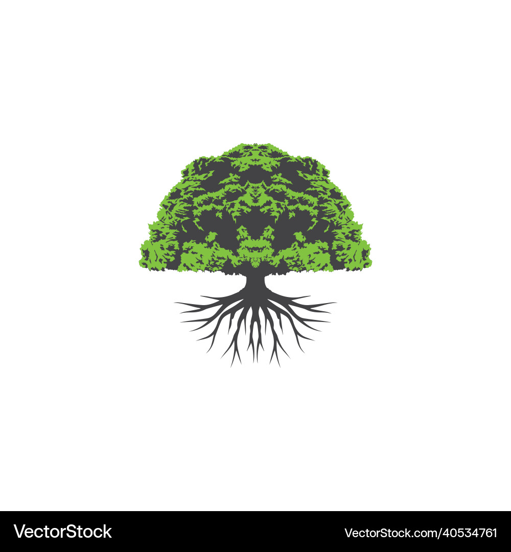 Tree and roots logo design template Tree and roots logo design template vector image