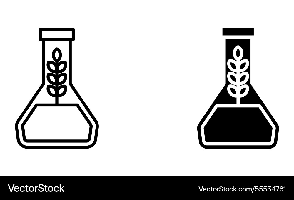Wheat in the laboratory flask Wheat in the laboratory flask vector image
