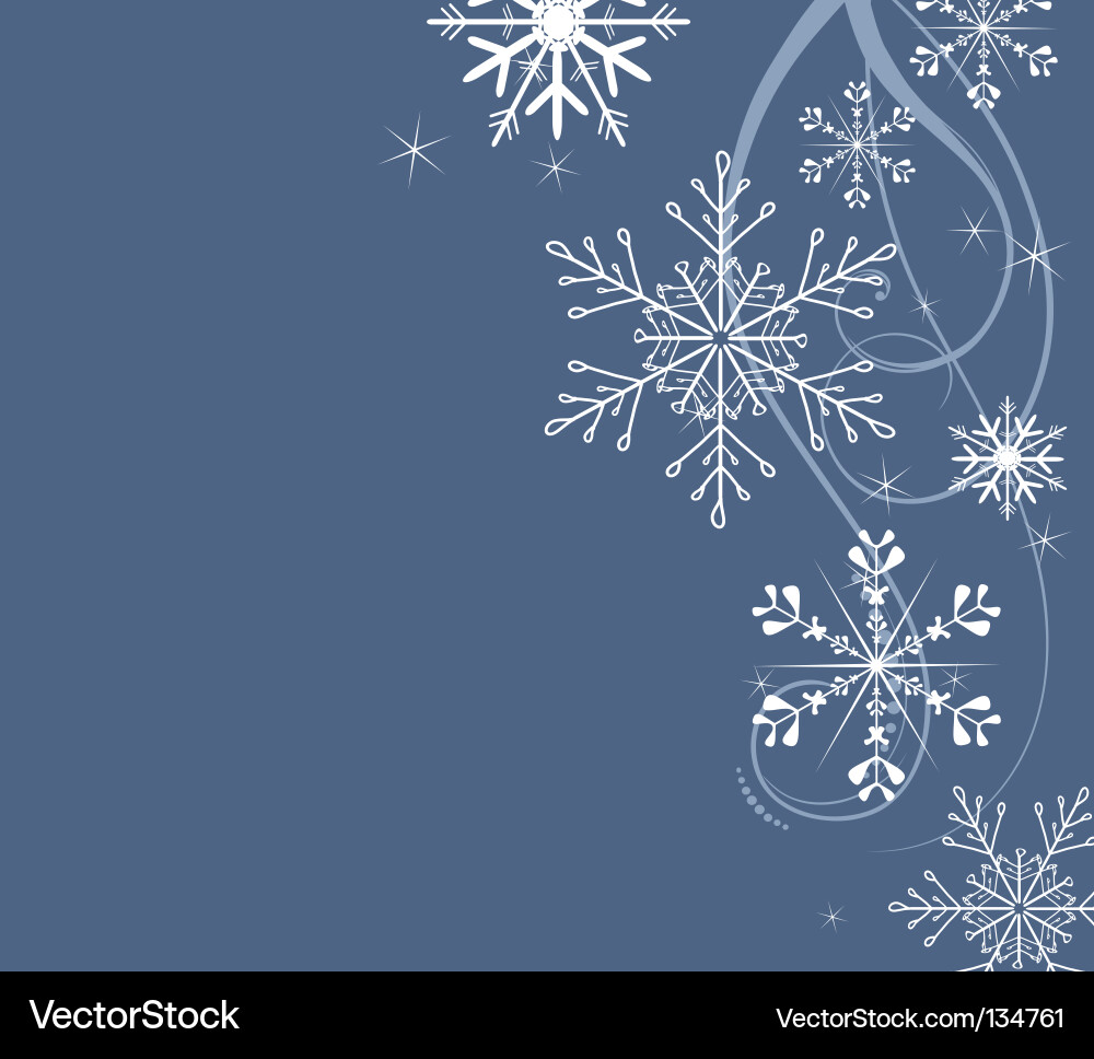 Winter Snowflake Pattern vector image