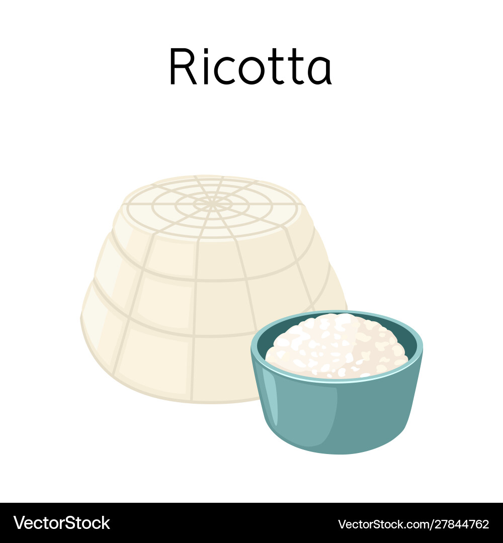 Isolated object cheese and ricotta icon web Vector Image
