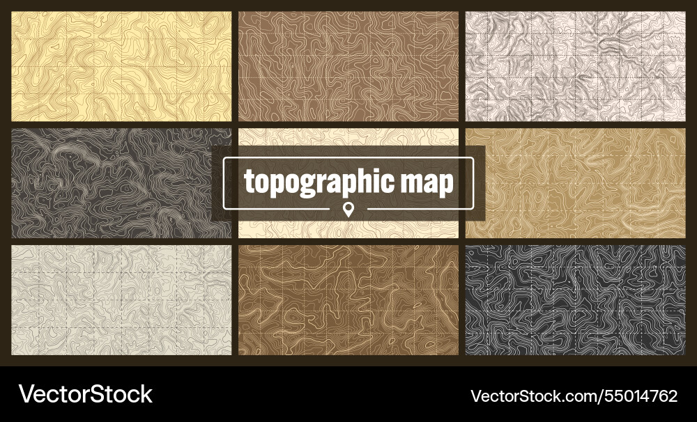 Topographic Terrain Map with Contour Lines vector image