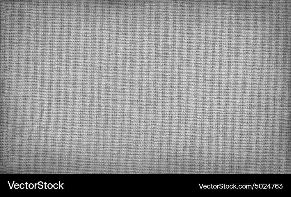 Gray Canvas Grid Texture vector image