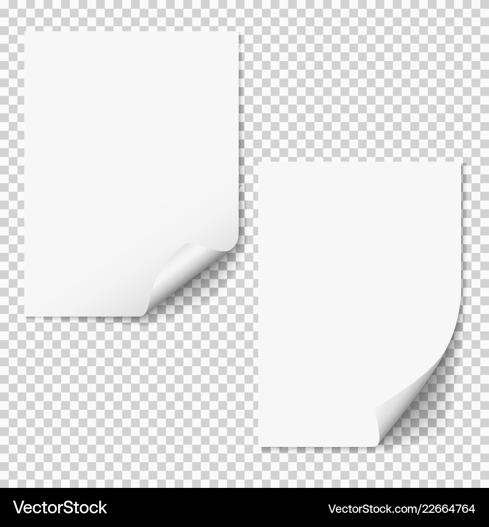 Blank paper mockups two empty sheets vector image