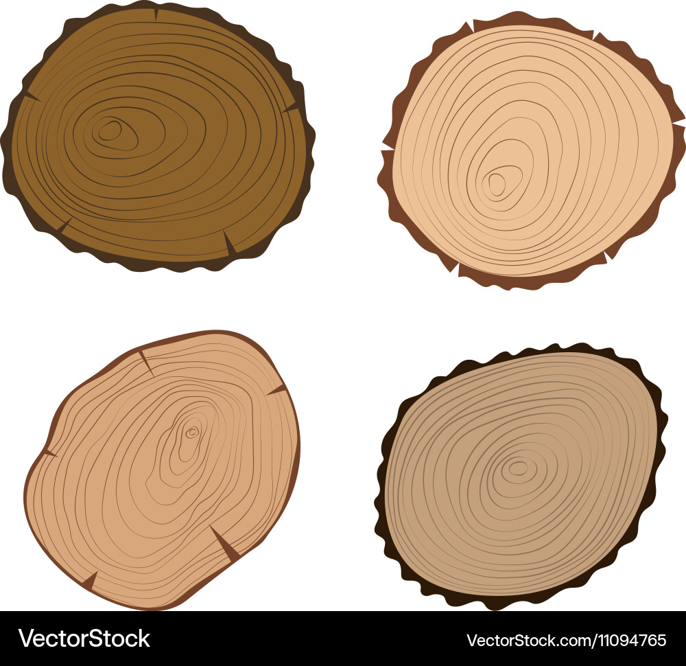 Tree slices isolated Vector Image
