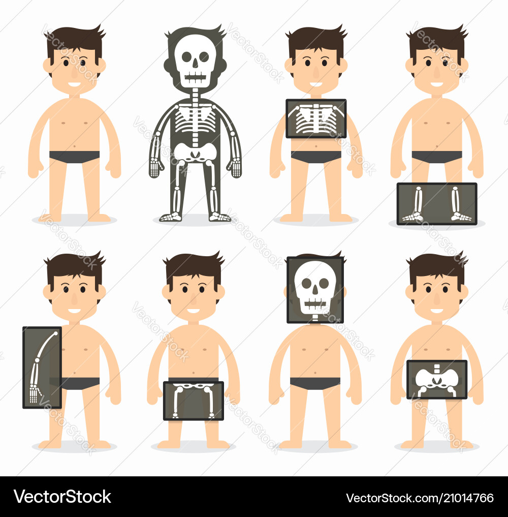 Human Bone Scan - Flat Design vector image