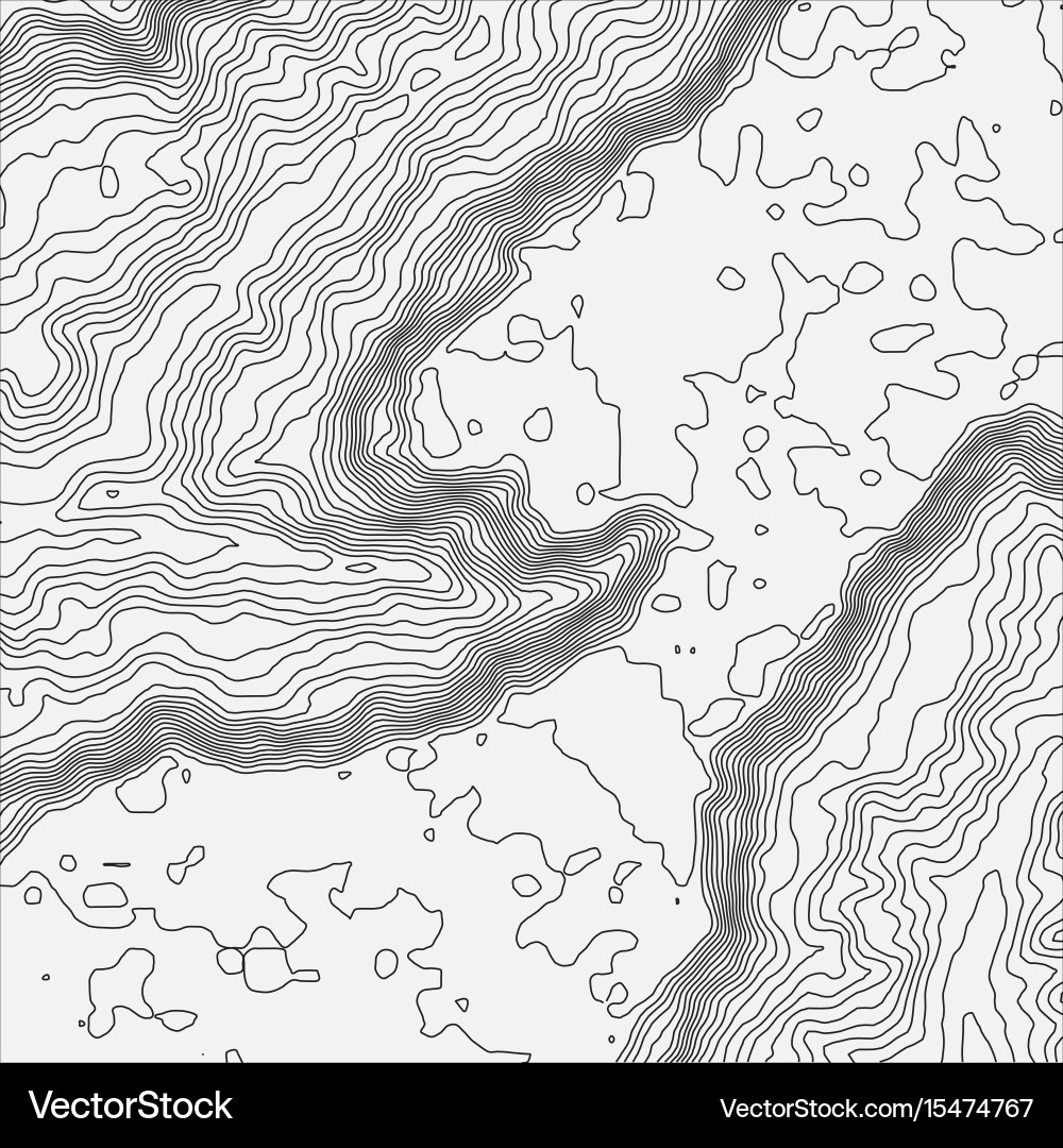 Topographic map background concept with space Vector Image