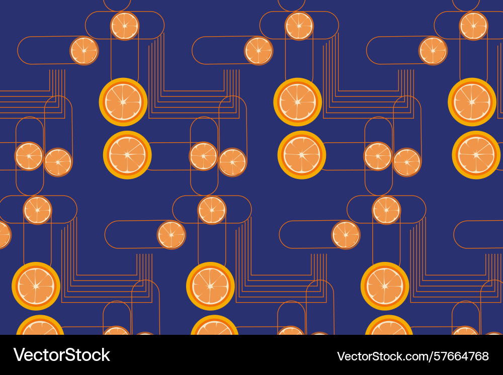 Advanced styled orange slices and circuit thin Advanced styled orange slices and circuit thin Vector Image