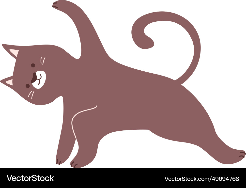 Cat doing exercises Vector Image