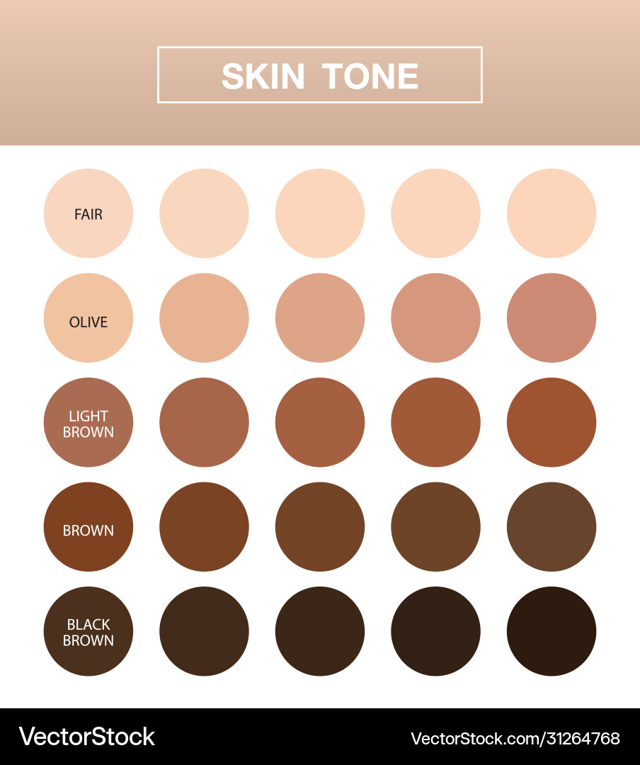 Skin tone infographic color table chart beauty Vector Image