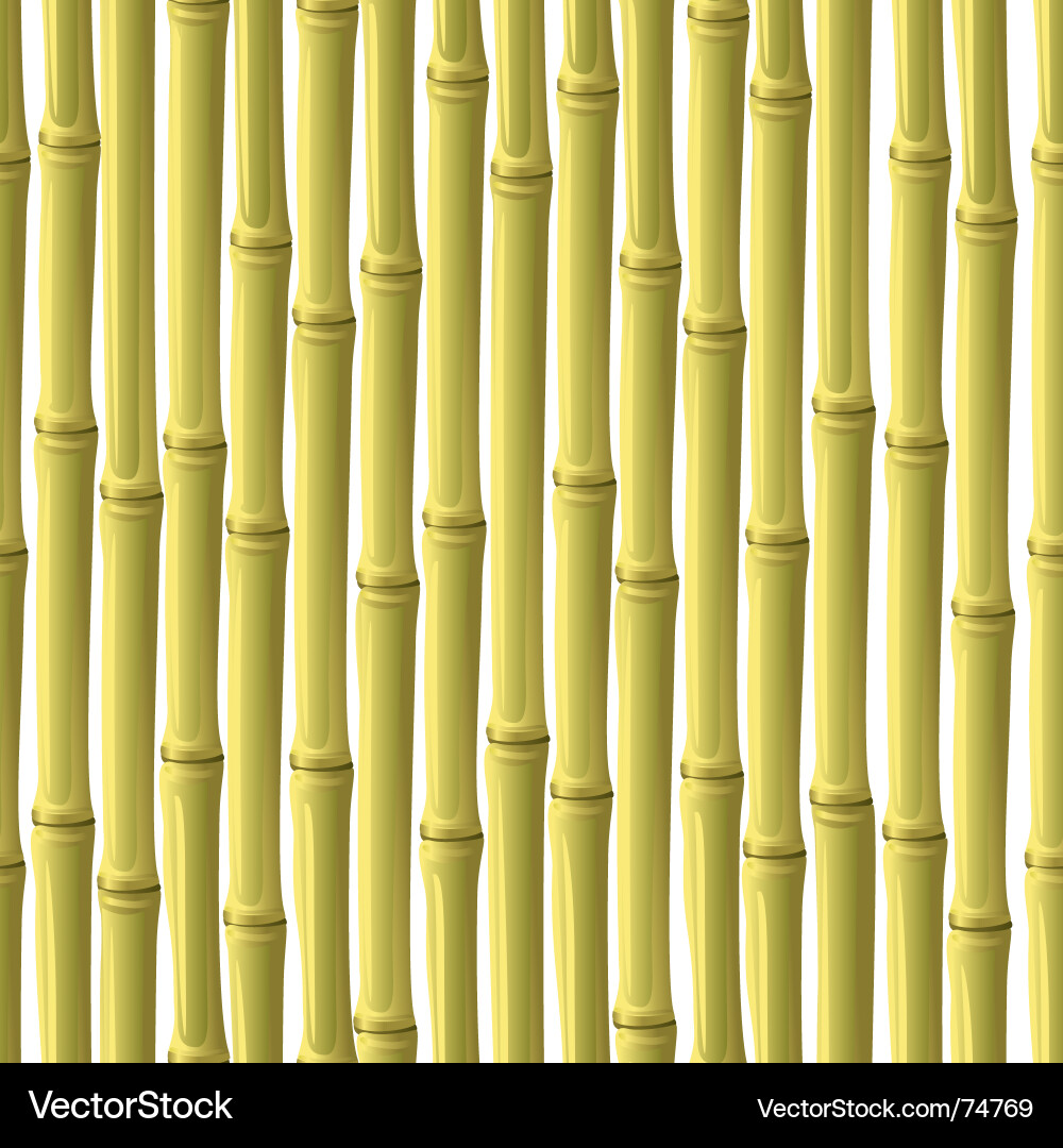 Bamboo Pattern Background vector image