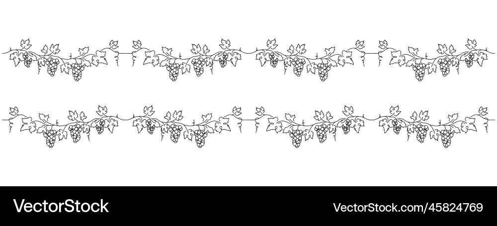 Grape Vine Border Element vector image
