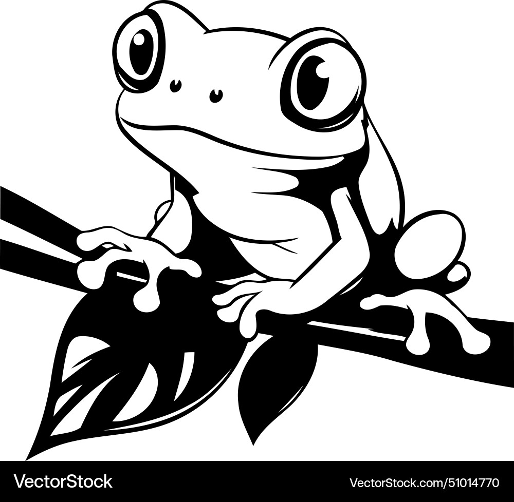 Frog on a branch isolated white background Vector Image