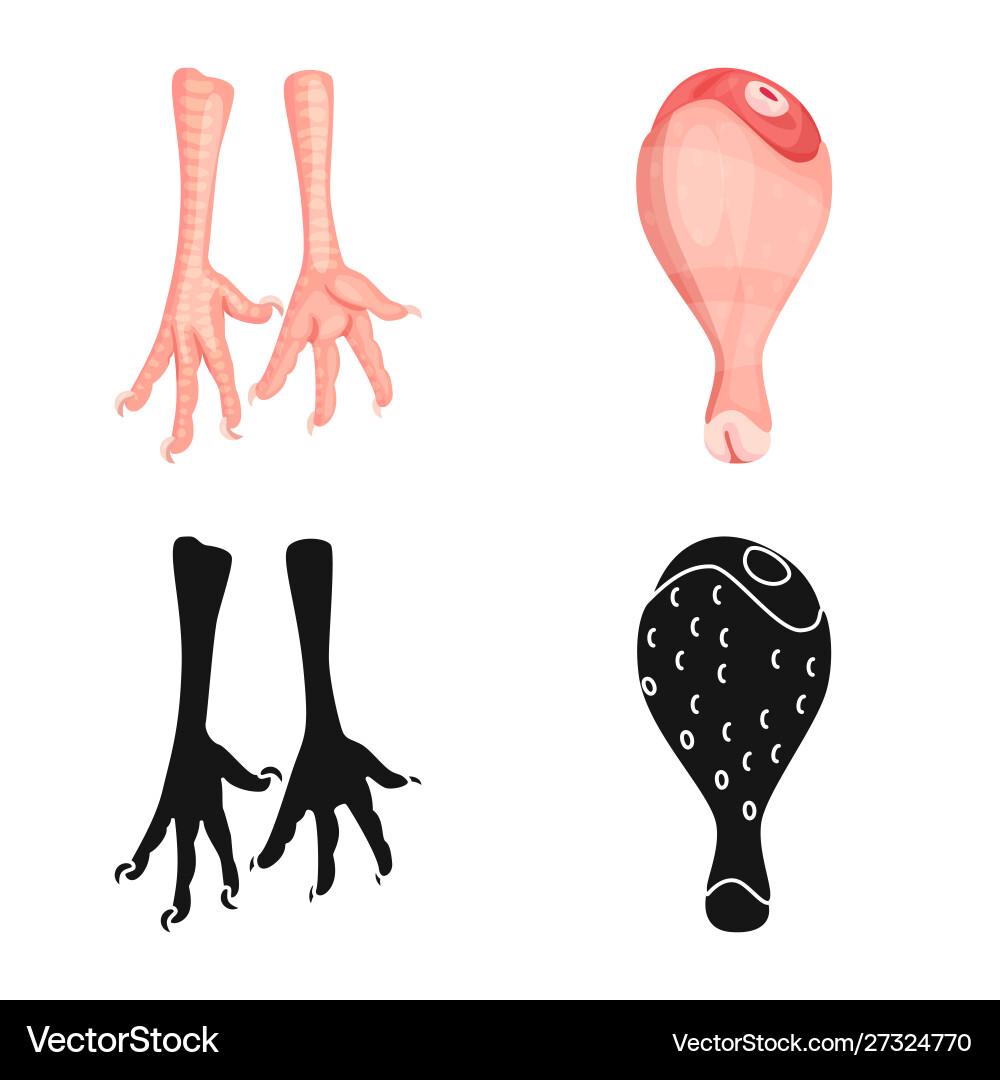 Isolated object product and poultry icon set Vector Image
