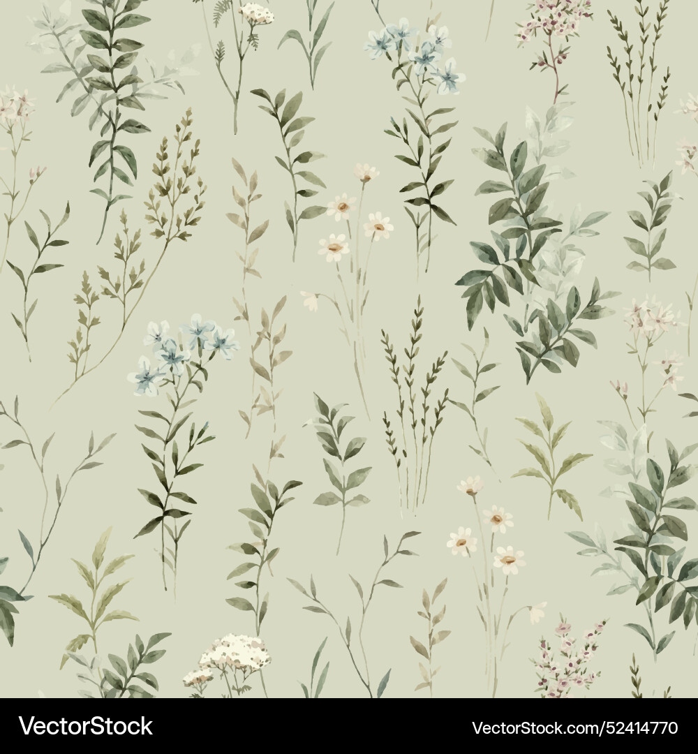 Watercolor Floral Pattern - Wild Herbs vector image