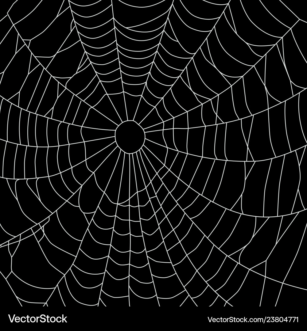 Cobweb isolated on black background spiderweb Cobweb isolated on black background spiderweb vector image