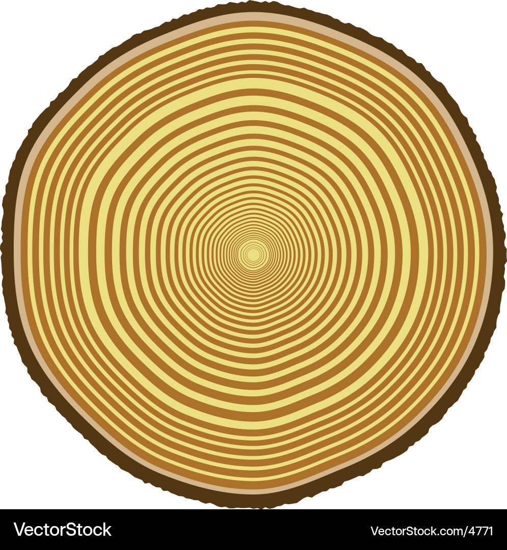 Tree Ring Pattern vector image