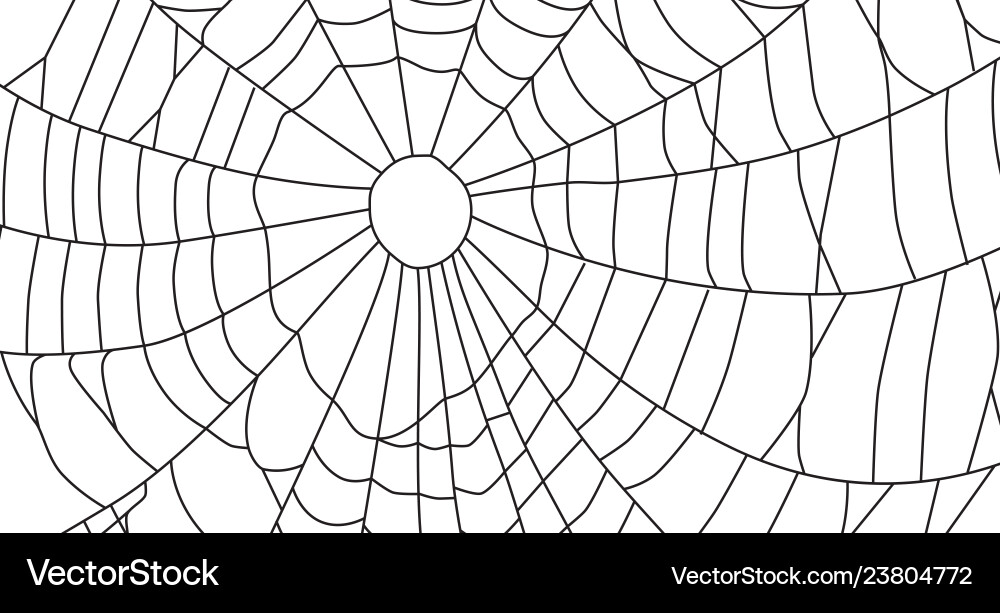 Cobweb isolated on white background spiderweb Cobweb isolated on white background spiderweb vector image
