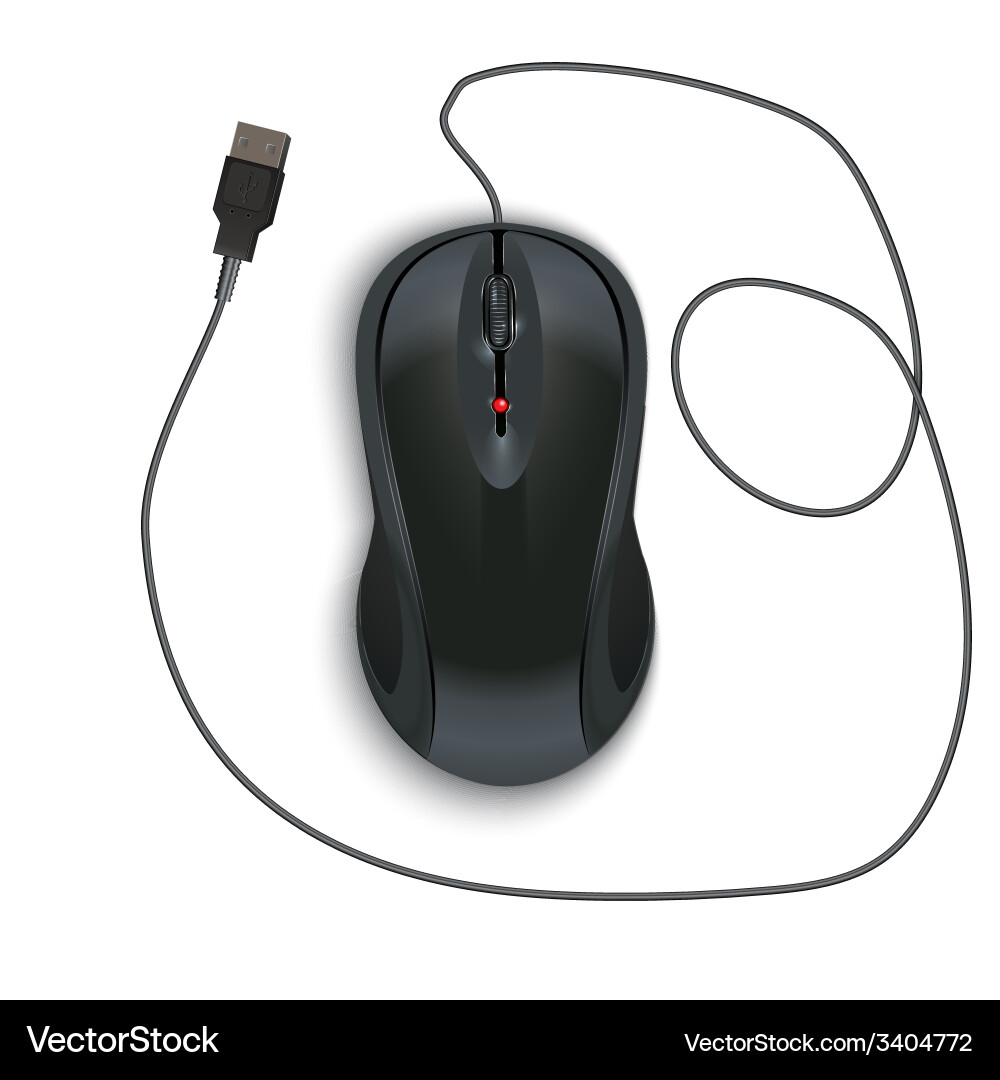 Computer mouse icon on an isolated background vector image