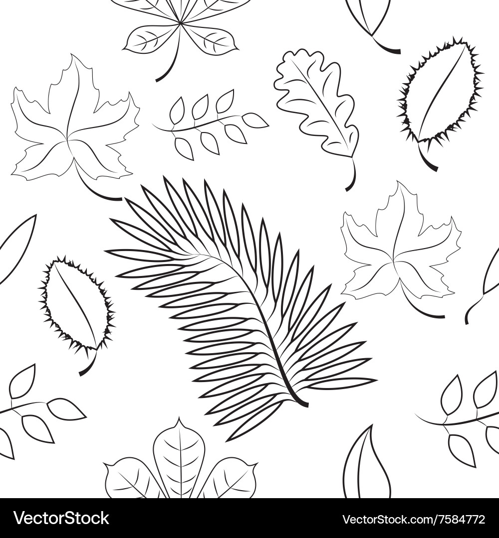 Seamless of different leaves contour plot Vector Image