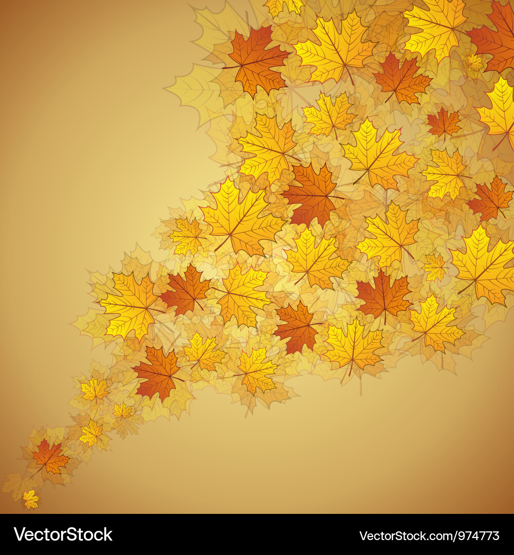 Autumn maple leaves stream Vector Image