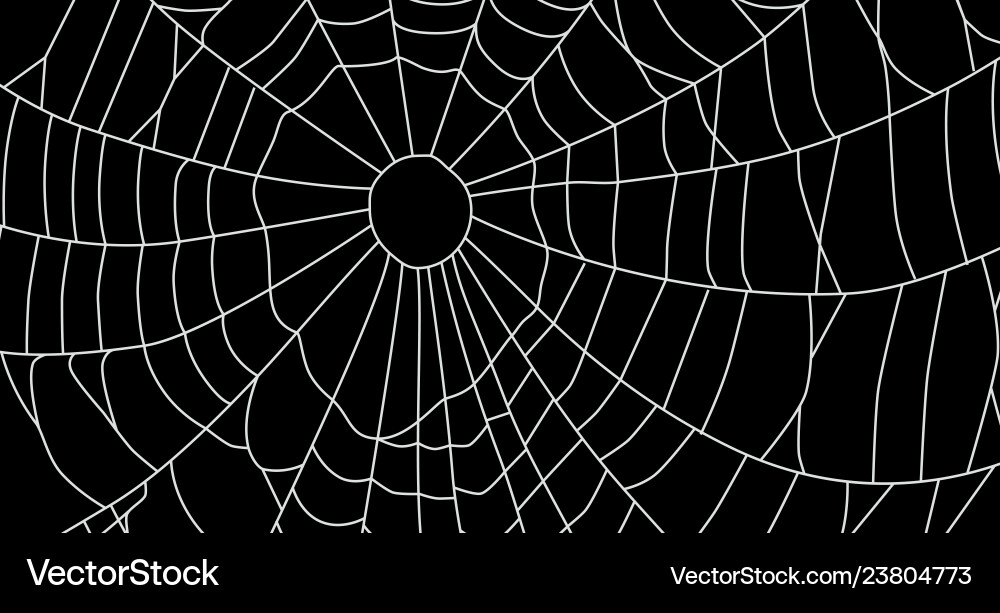 Cobweb isolated on black background spiderweb Cobweb isolated on black background spiderweb vector image