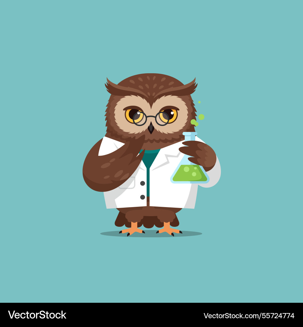 Cartoon owl conducting scientific experiment Cartoon owl conducting scientific experiment vector image