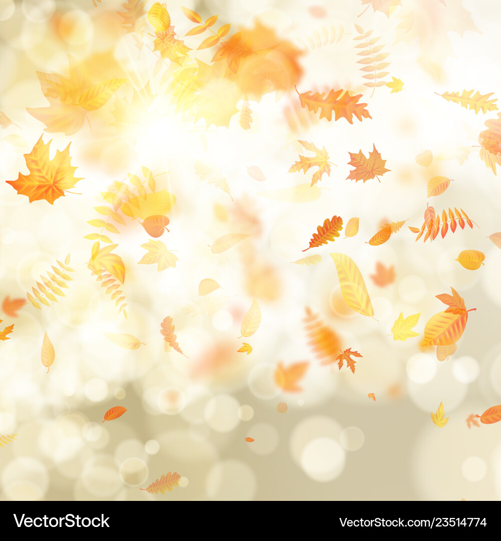 Gold autumn bokeh background with maple Gold autumn bokeh background with maple vector image