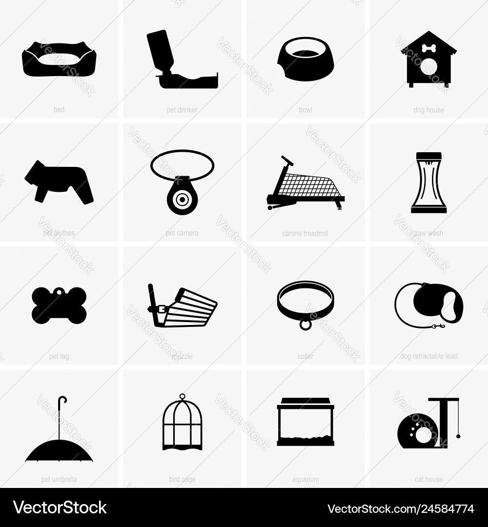 Pet Supplies & Accessories Vector Image