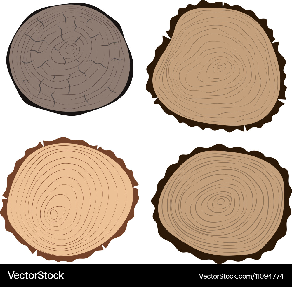 Tree slices isolated Vector Image
