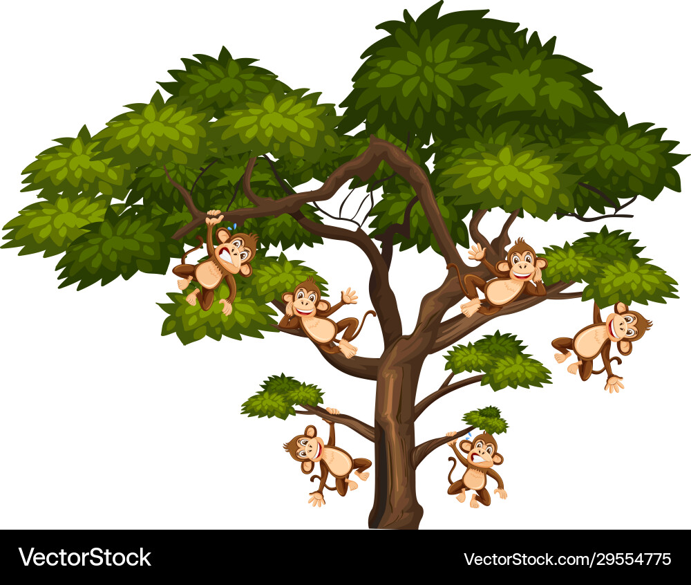 Big tree and monkeys on white background Big tree and monkeys on white background Vector Image