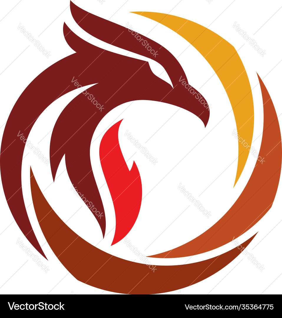 Eagle logo design Eagle logo design Vector Image