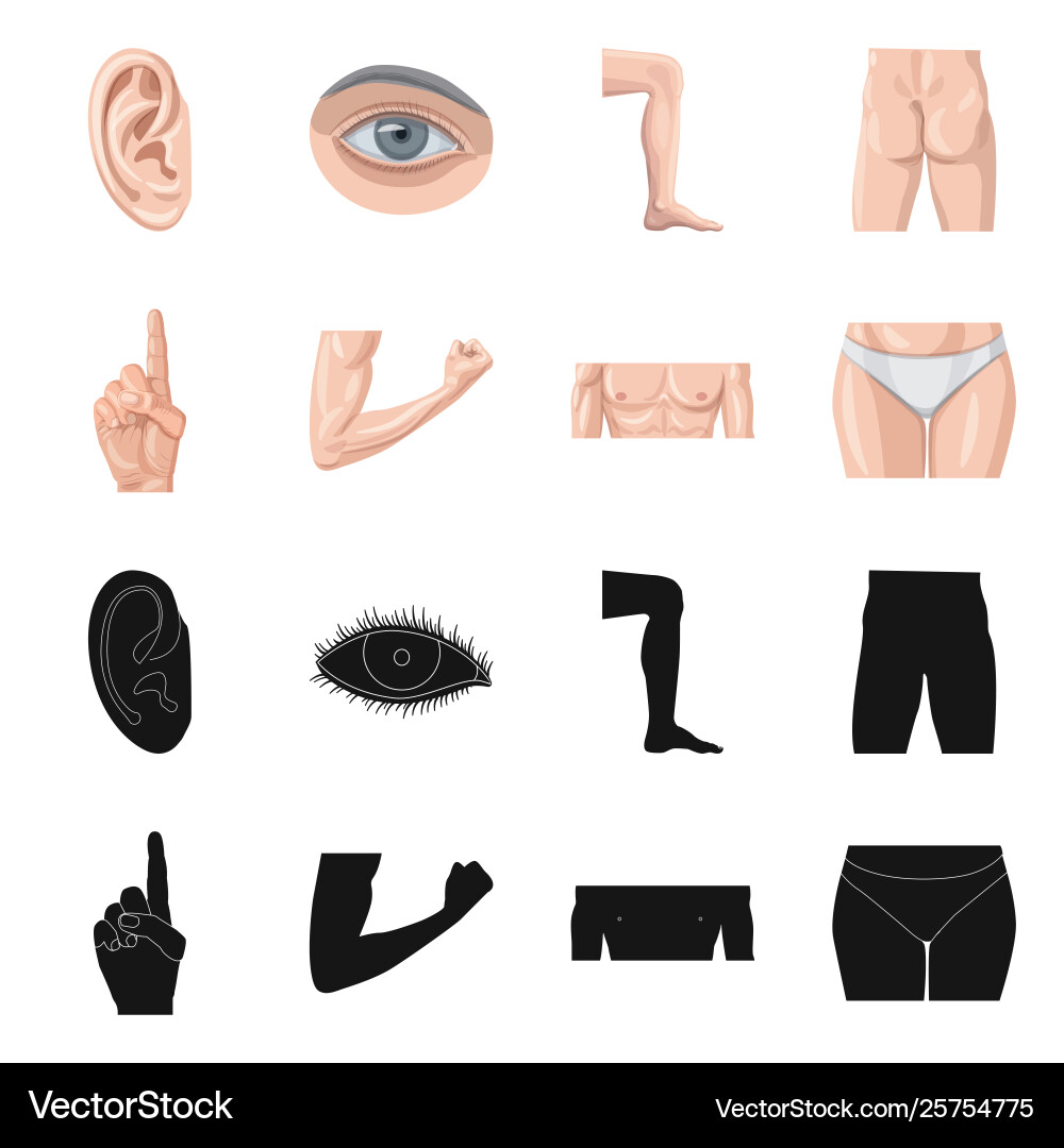Isolated object human and part symbol Isolated object human and part symbol vector image