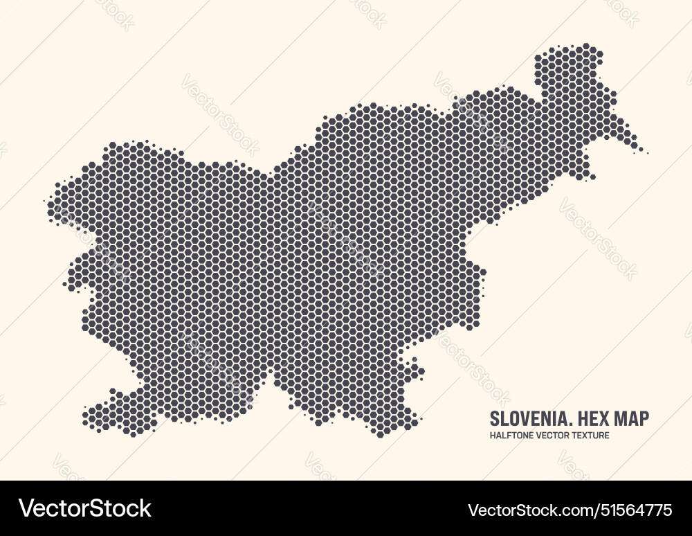 Slovenian Hexagonal Map Pattern vector image