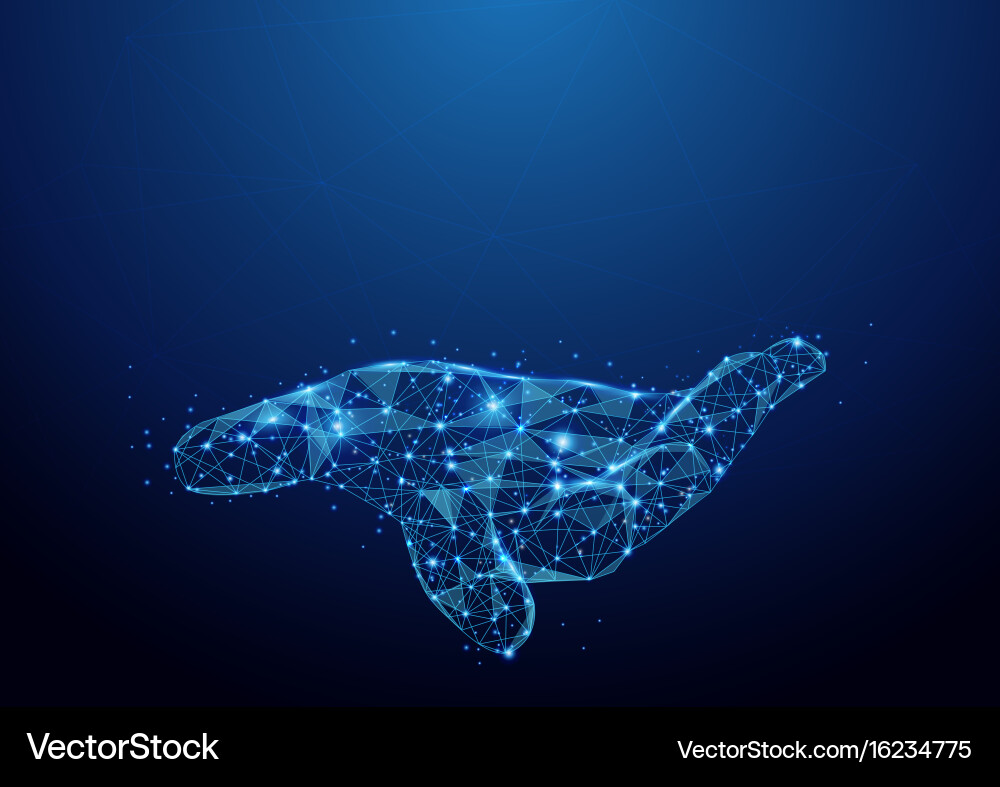 Wireframe Mesh Hand Signing vector image