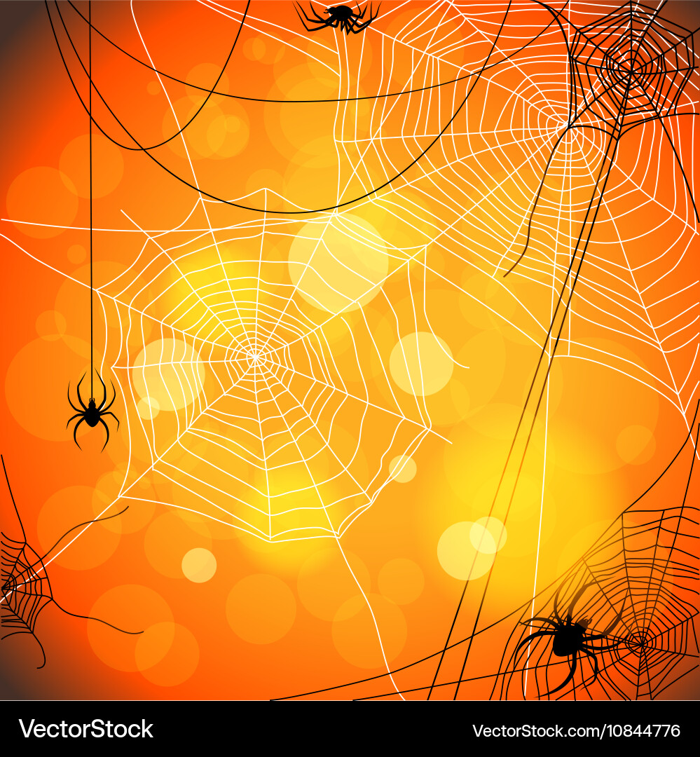 Background with spiders and web Vector Image