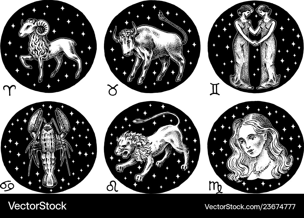 Zodiac icons astrology horoscope with signs Zodiac icons astrology horoscope with signs vector image