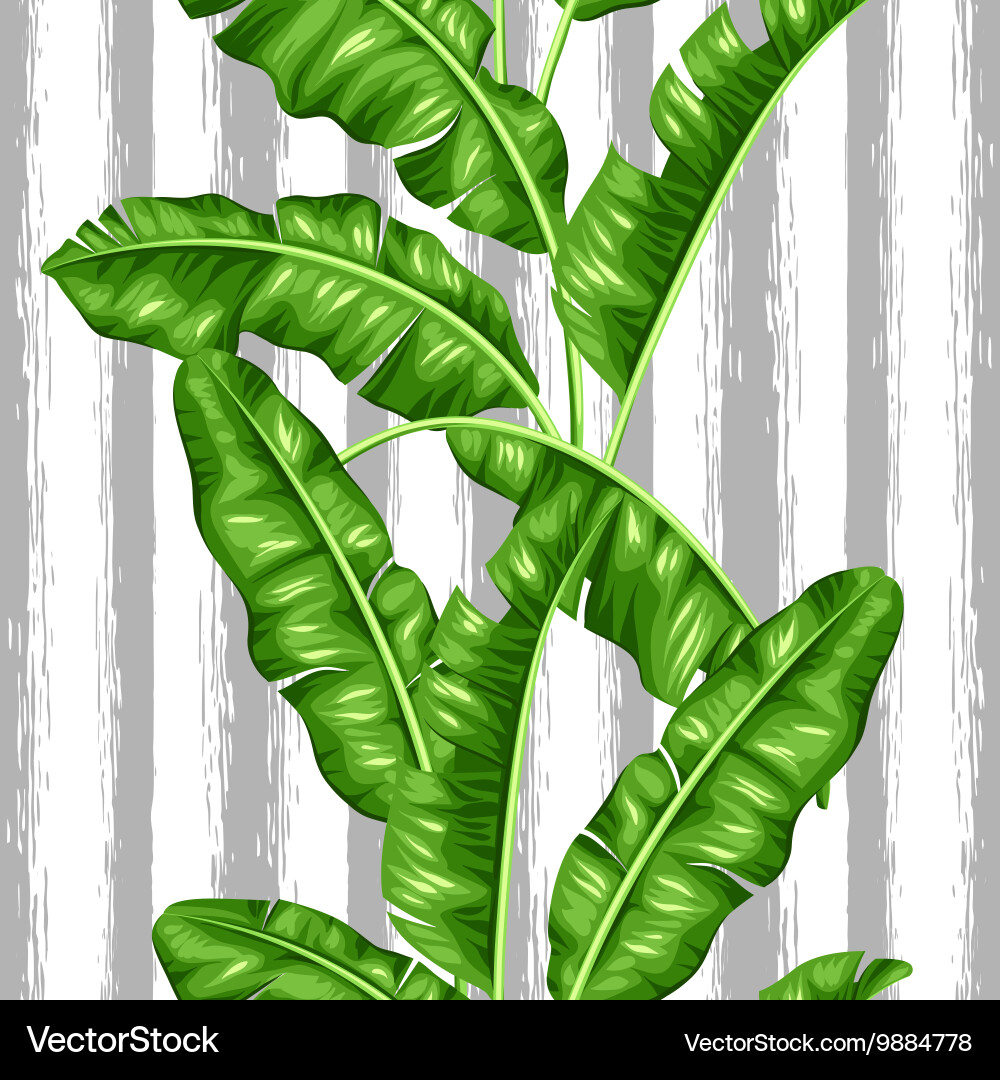 tropical-banana-leaf-pattern-royalty-free-vector-image