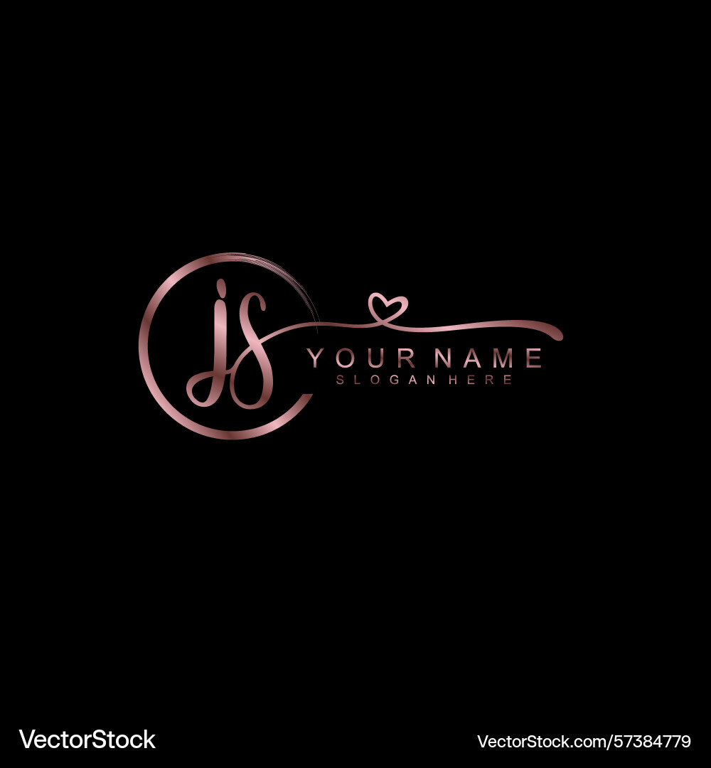 Elegant js initial handwriting logo collection Elegant js initial handwriting logo collection vector image