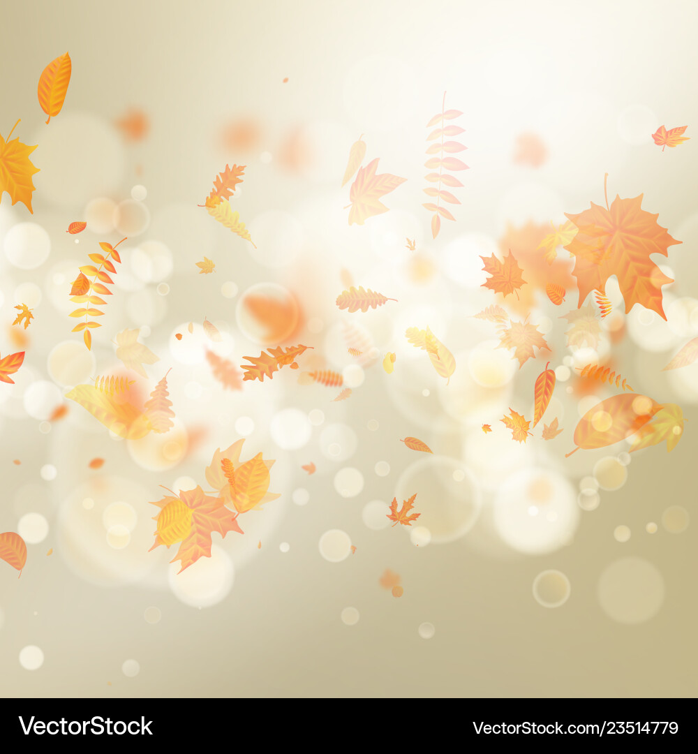 Gold autumn bokeh background with maple vector image