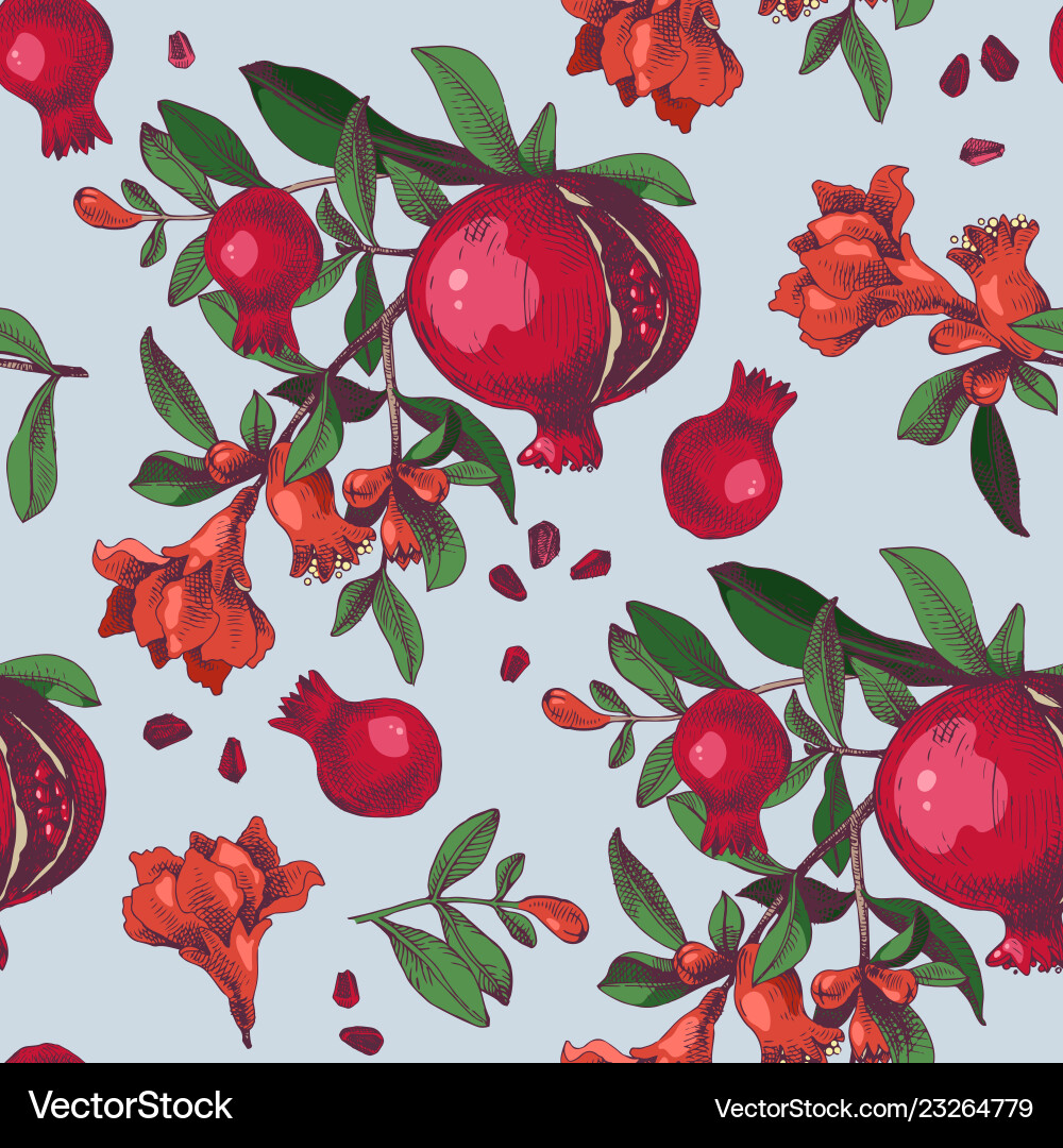 Hand Drawn Pomegranate Pattern Vector Image