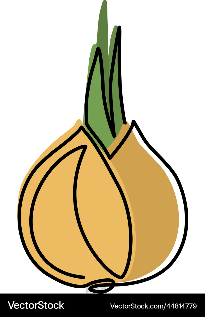 Onion in continuous line art drawing style Onion in continuous line art drawing style Vector Image