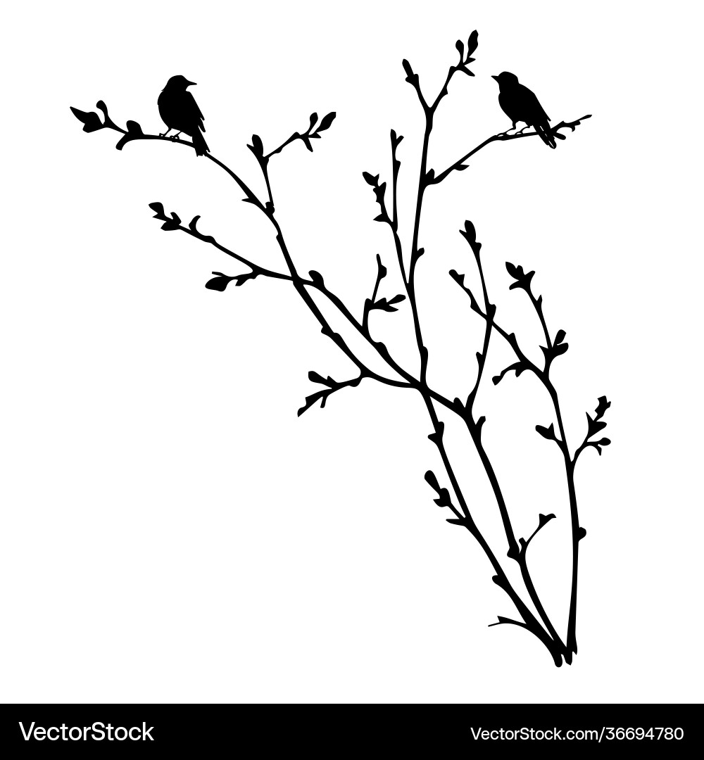 Black Spring Branches with Birds Vector Image