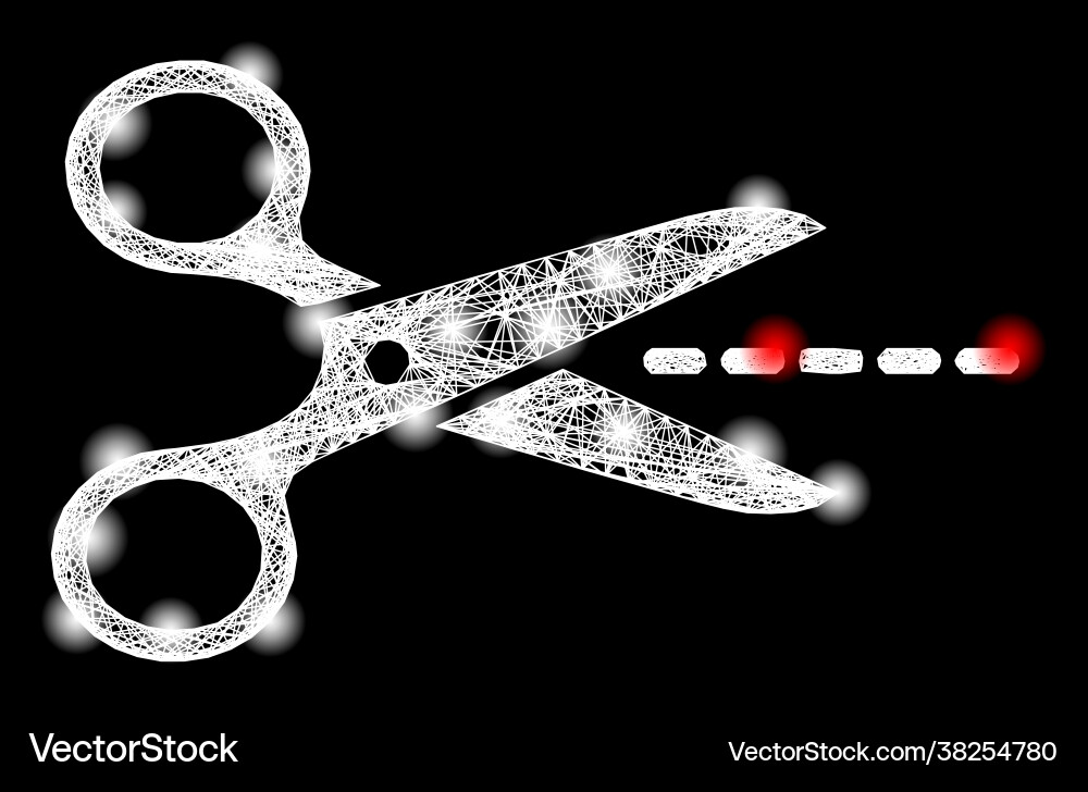 Net scissors line web mesh with bright light spots Net scissors line web mesh with bright light spots vector image