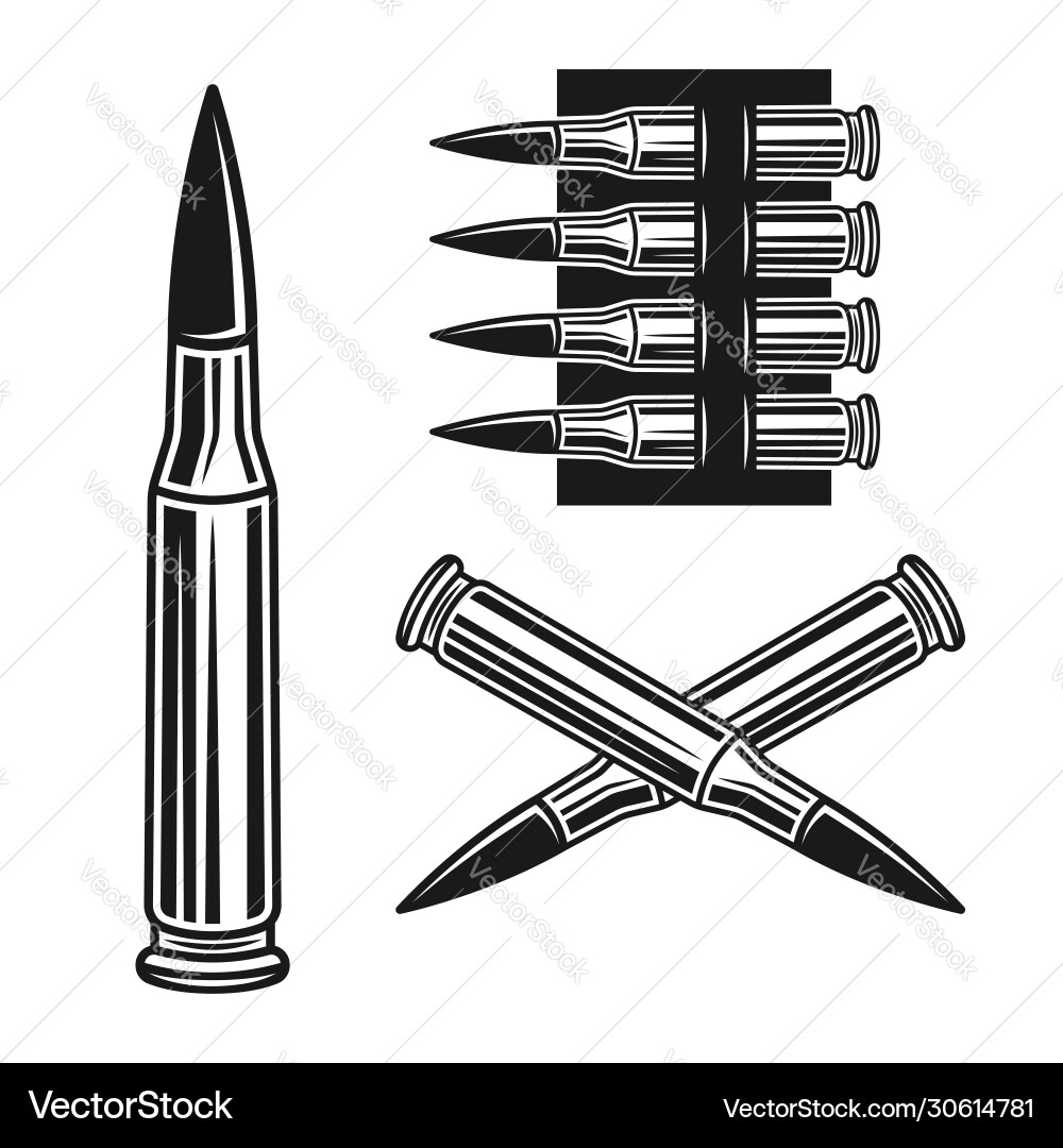Bullet and Ammunition Set Vector Image