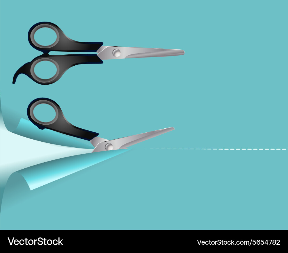Scissors vector image
