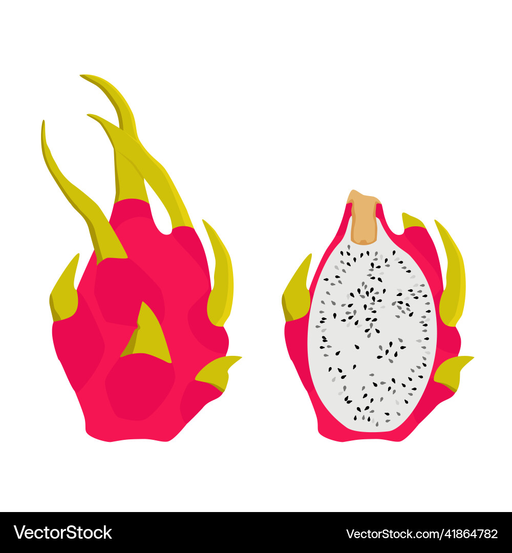 Web Web vector image