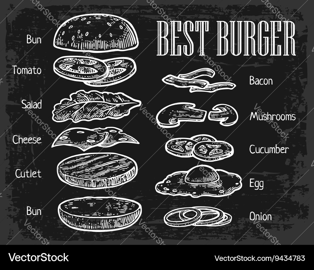 Burger Components on Chalkboard Vector Image