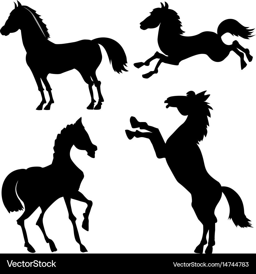 Horses vector image